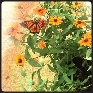 Like, Share .... 🎉🎊🥳🤩!!!